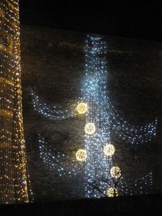 Arbres de lumière a Noel